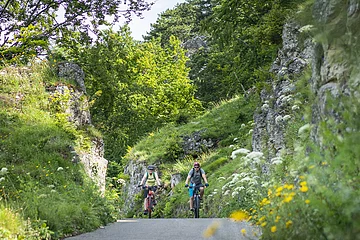 Radler unterwegs auf dem Altmühltal-Radweg bei Kipfenberg