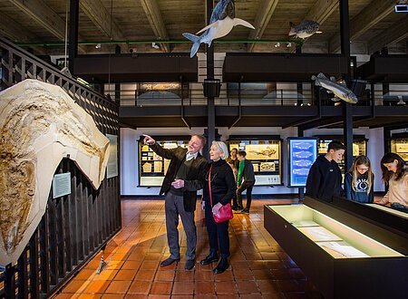 Besucher im Jura-Museum